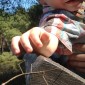 20120314-221750.jpg
