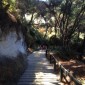 20120314-221812.jpg